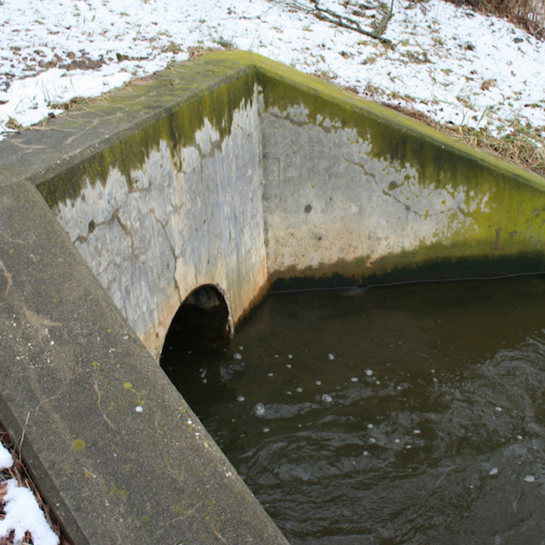 MANAGING NUTRIENT POLLUTION | Delaware Center for the Inland Bays