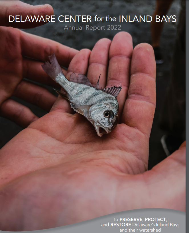 a person holding a small fish in their hand