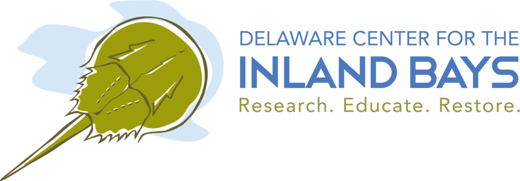 the delaware center for the inland bays research logo