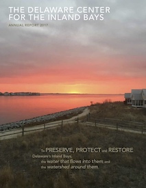 the delaware center for the inland bay's annual report