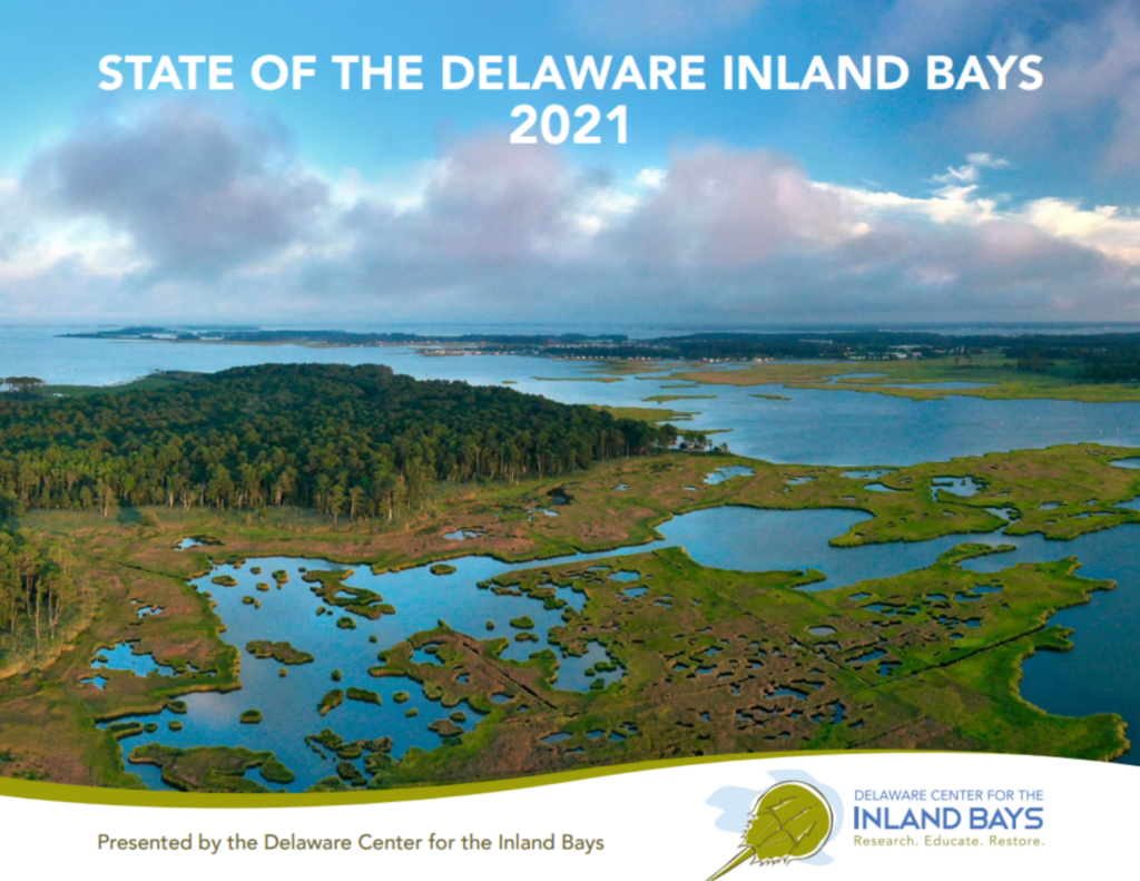 the state of delaware inland bays 2012