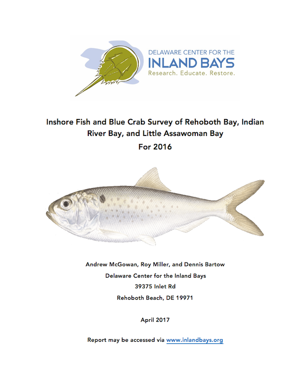 the cover of an information booklet for fish and blue crab survey