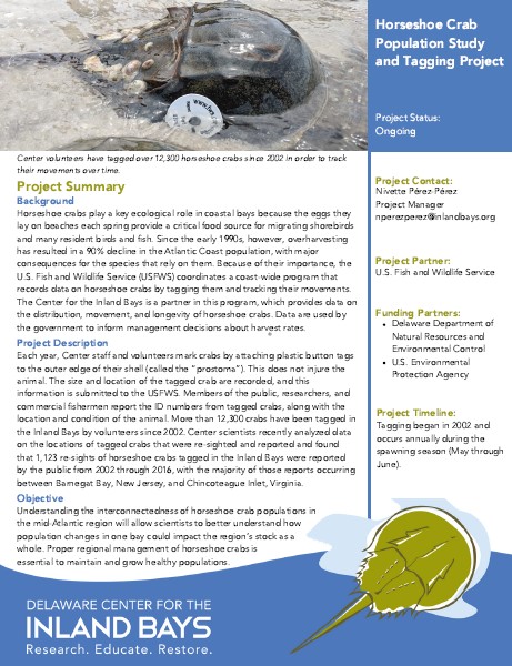 a brochure with information about the project