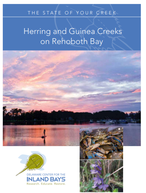 the state of your creek herring and guinea creeks on rehobot bay
