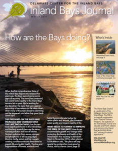 a brochure for the inland bays journal