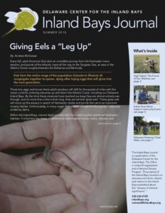 a brochure for inland bay journal giving else a leg up