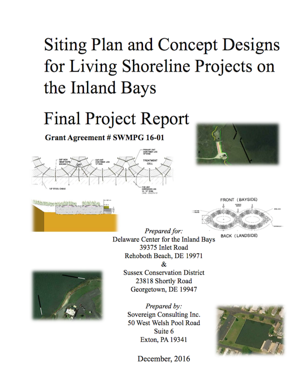 the final project report is shown