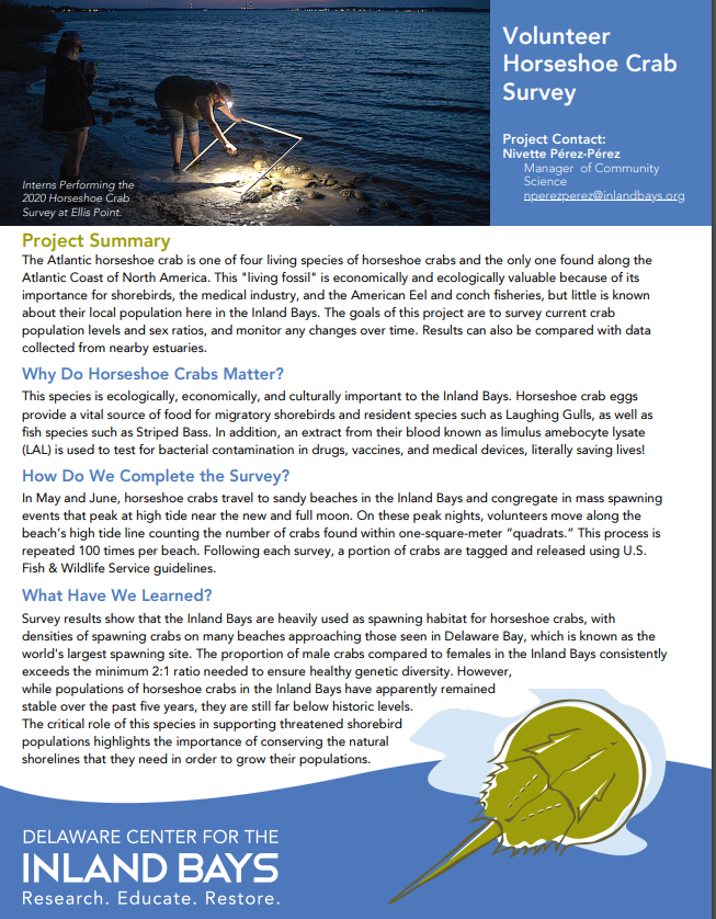 the flyer for volunteer crab survey