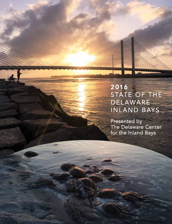 the cover of state of the delaware river inland bays