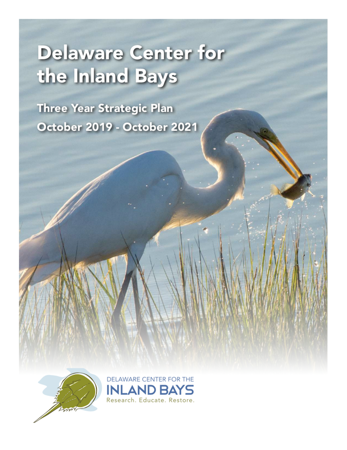 a flyer for the delaware center for the inland bays