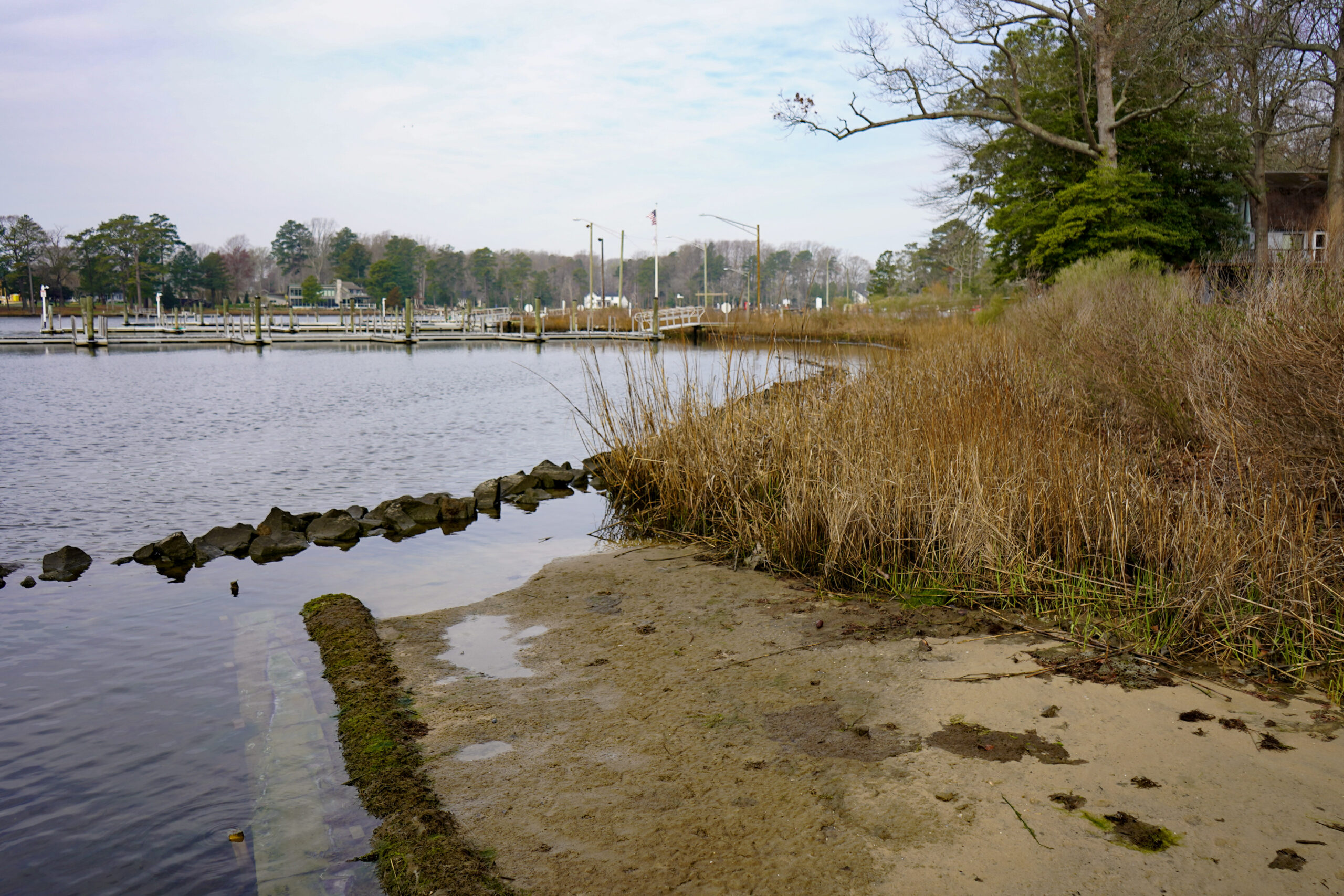 Living Shorelines | Delaware Center For The Inland Bays