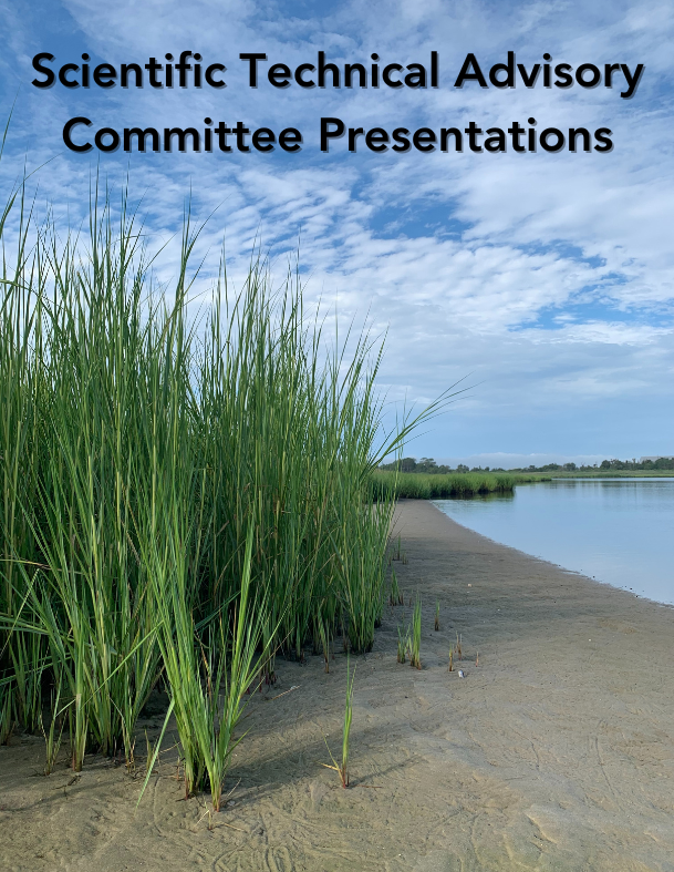 the cover of a science technical advisory committee presentation