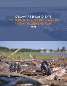 the cover of delaware inland bay's competitive conservation and management plan
