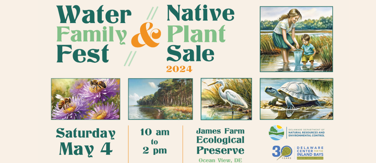 a poster for the water and plant fest