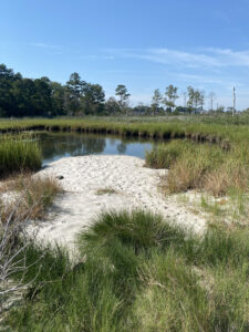 a sandy area with grass and water in the background