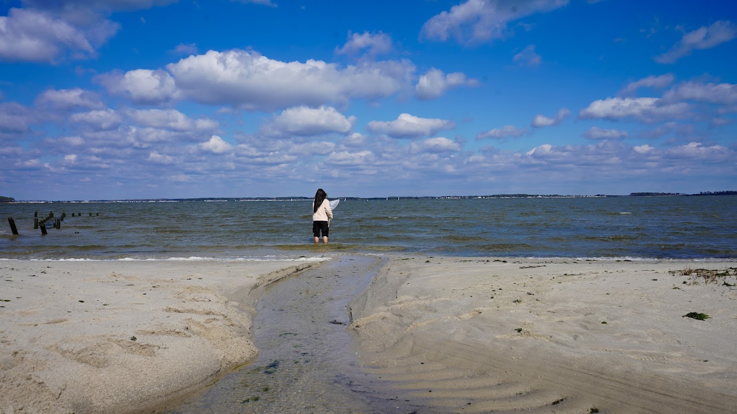 a person standing in the water on a beach