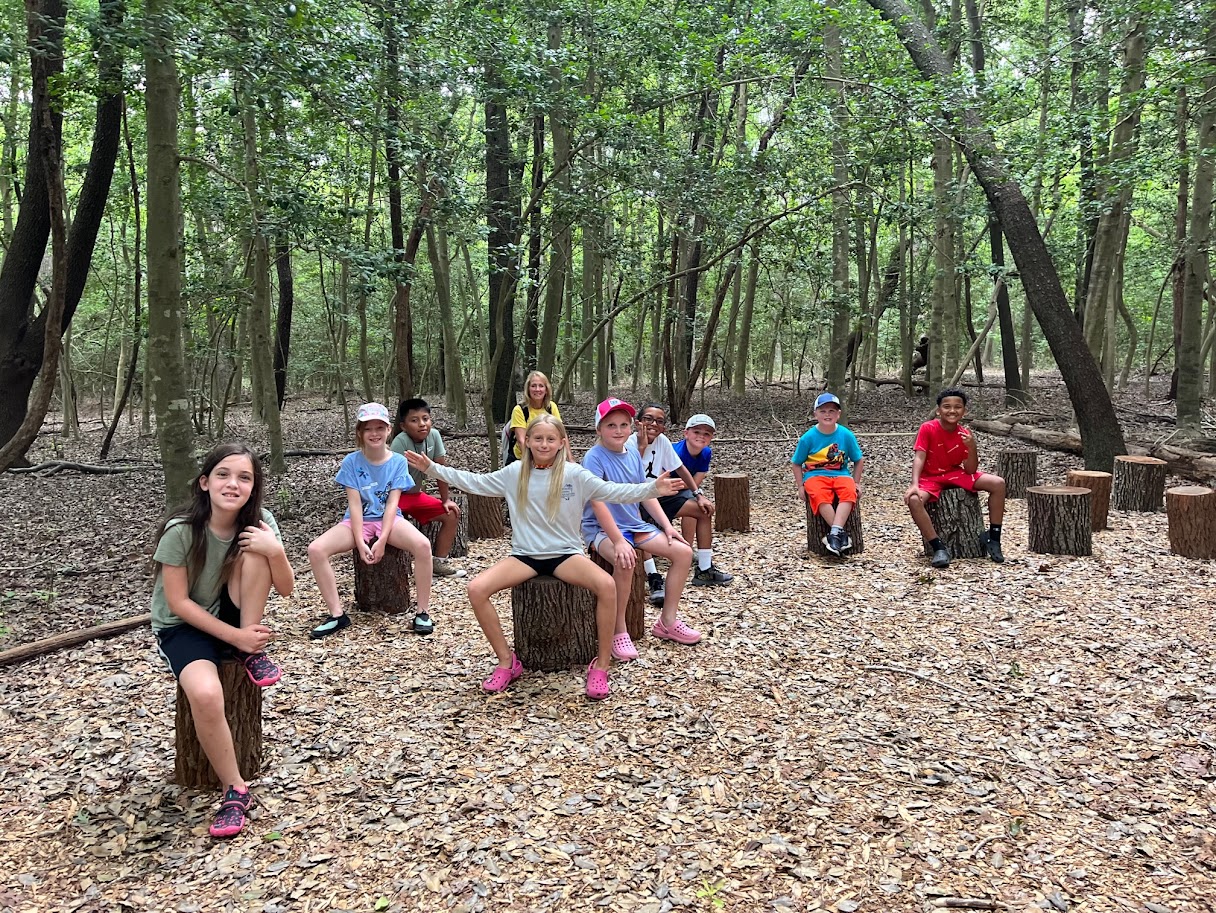a group of kids sitting on logs in the woods
