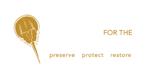 Delaware Center for the Inland Bays