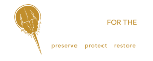 Delaware Center for the Inland Bays